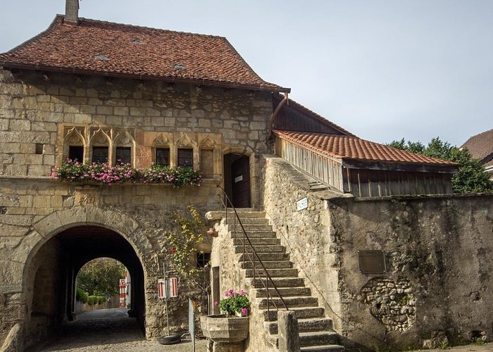 Musee D′estavayer-le-lac Et Ses Grenouilles