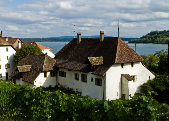 Rebbaumuseum Am Bielersee / Musee De La Vigne Au Lac De Bienne