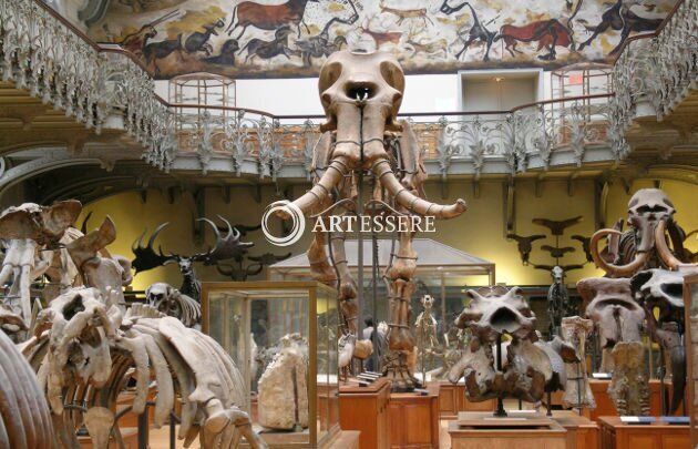 Museum D′histoire Naturelle
