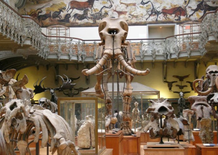 Museum D′histoire Naturelle