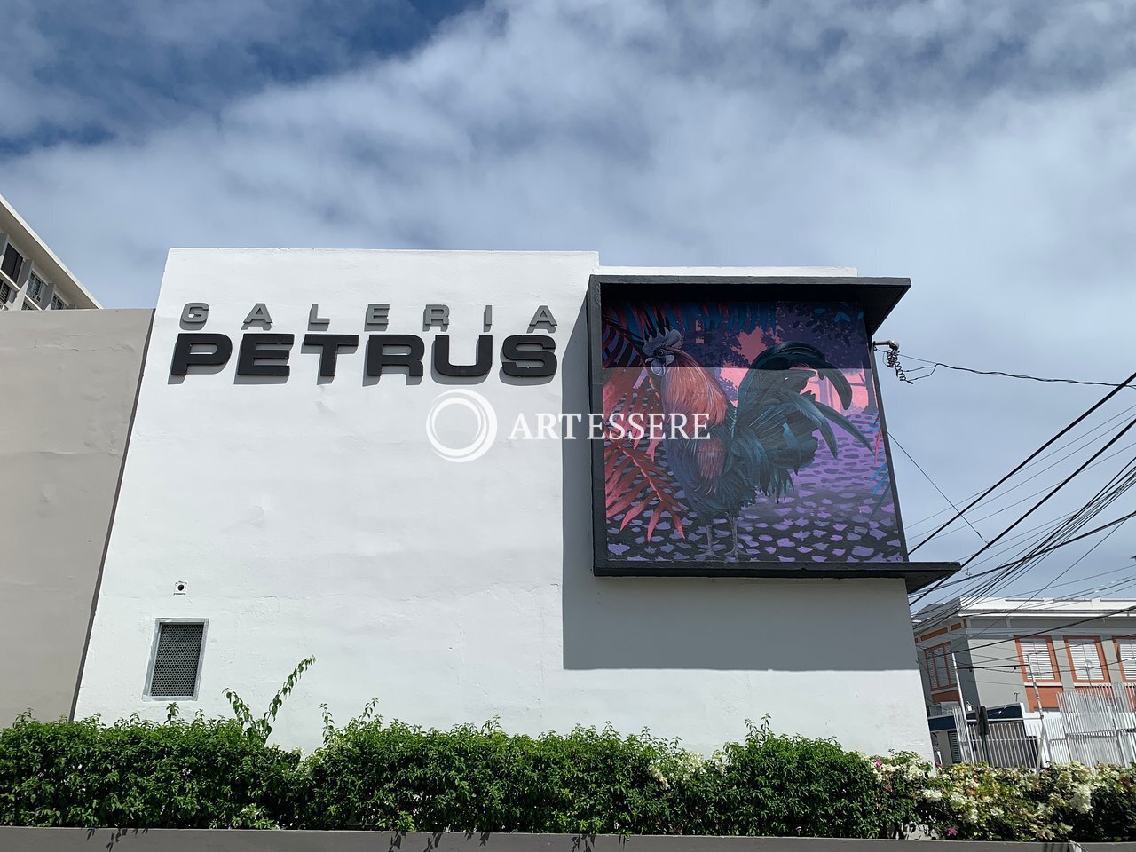 Galeria Petrus