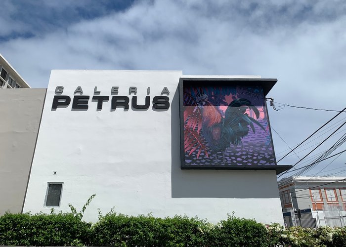 Galeria Petrus