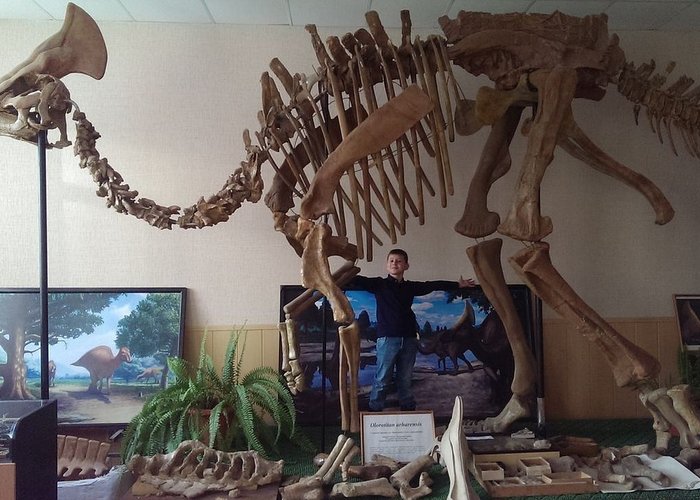 The Blagoveshchensk Paleontology Museum