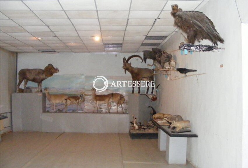 Aimag Museum