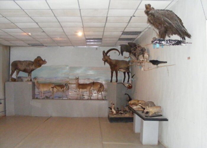 Aimag Museum