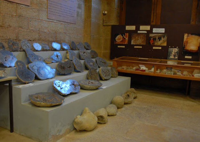 The Mineralogical Museum