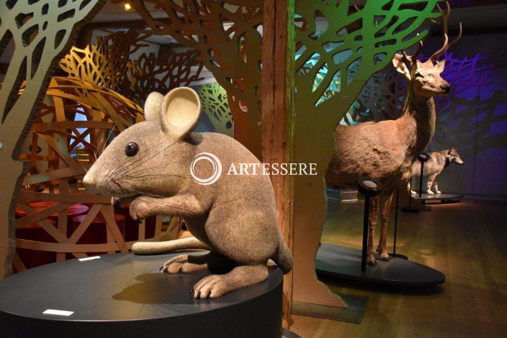 Swiss Museum of Game and Hunting