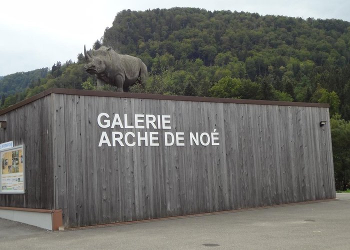 Galerie Arche De Noe