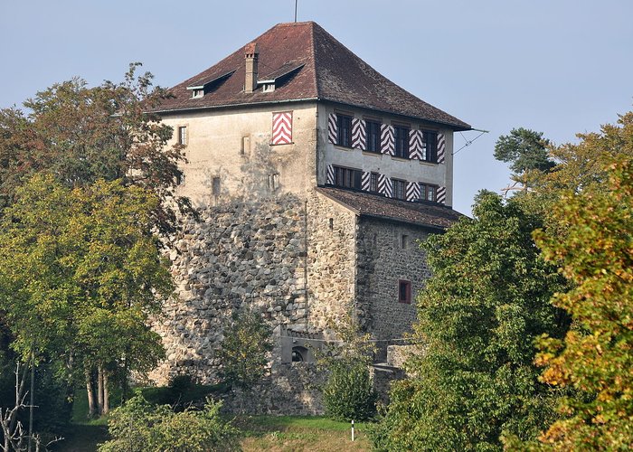 Schloss Morsburg