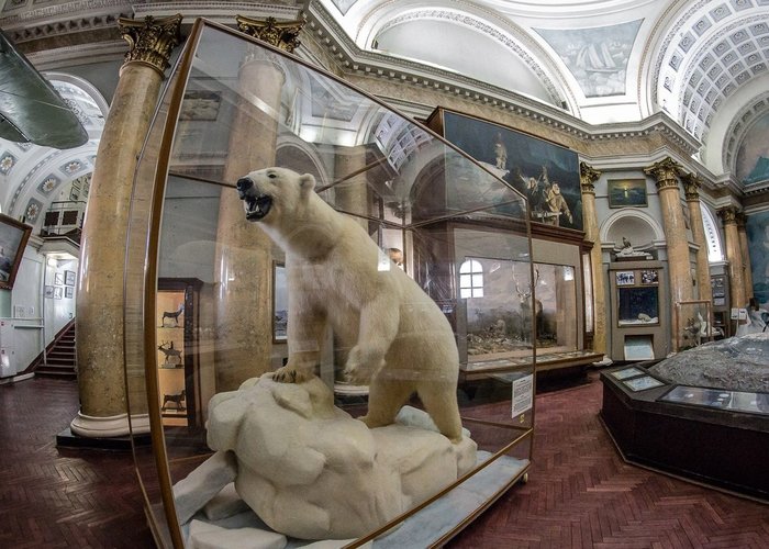 The Russian State Museum of the Arctic and Antarctic