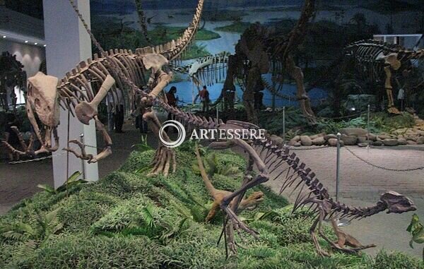 Nalut Dinosaur Museum