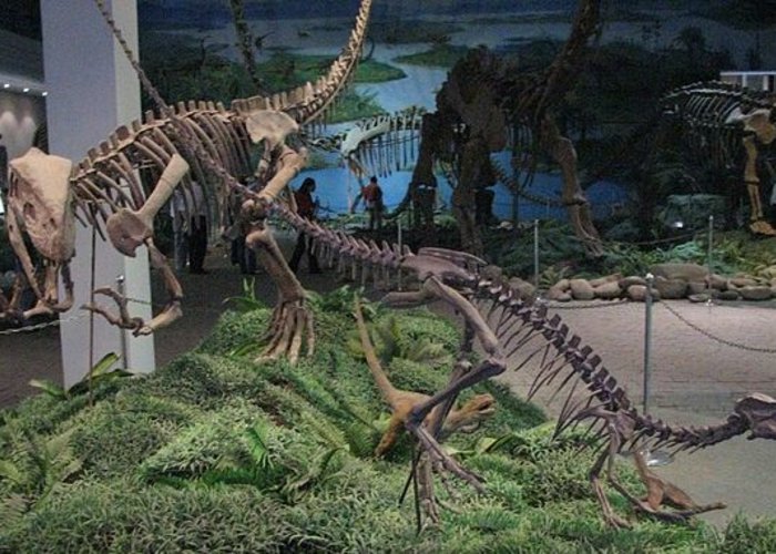 Nalut Dinosaur Museum