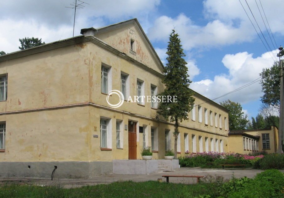 The Local History Museum of A.A. Buyankin