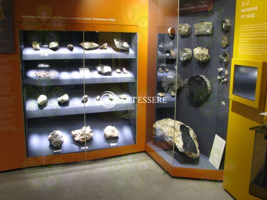 The Geological Museum