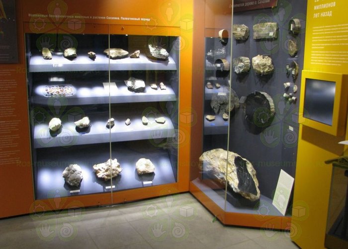 The Geological Museum