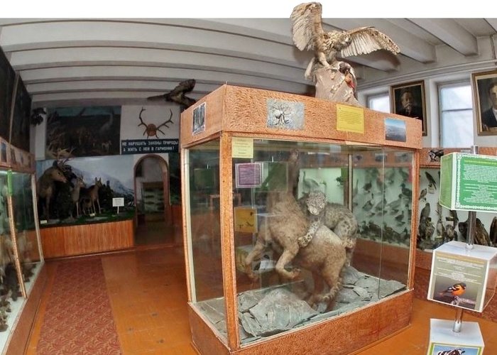 Zoological Museum of Biology and Soil Institute of the National Academy of Sciences