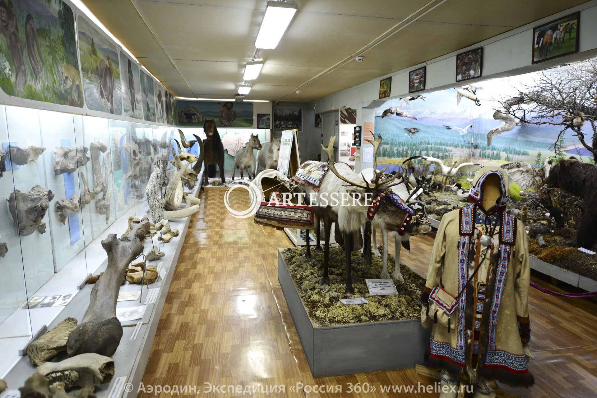 The Verkhoyansk Museum of Local Lore  «Pole of cold»