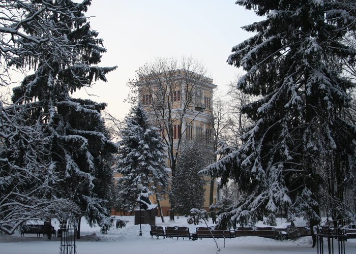 State Historical and Cultural Institution «Gomel Palace and Park Ensemble»