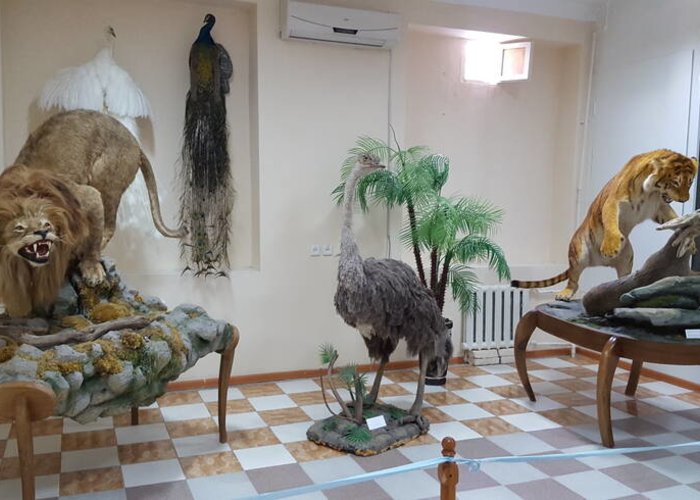 State Museum of Nature of Uzbekistan