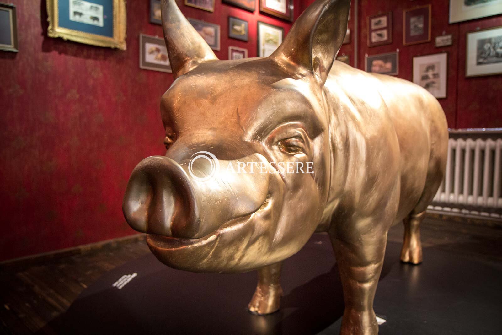 Pig Museum