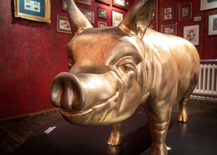 Pig Museum