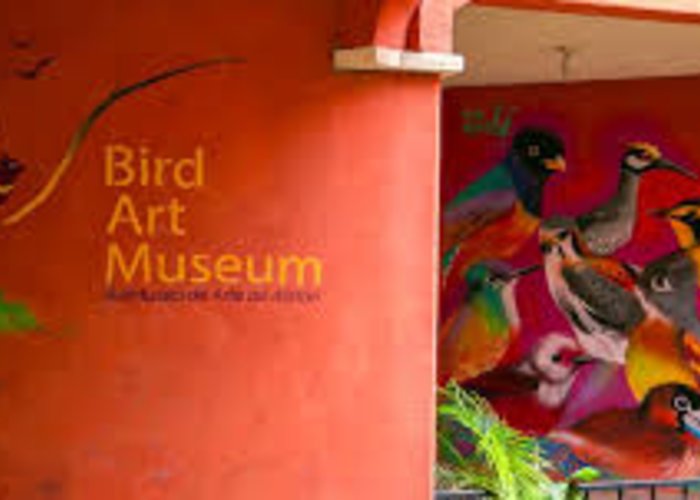 AviMuseo de Arte de Atitlan