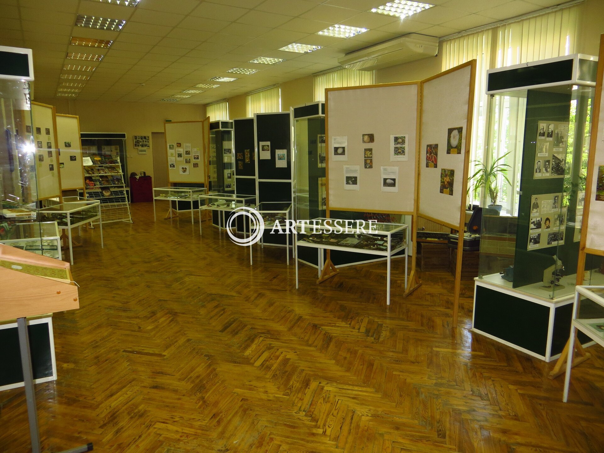 The  Museum of Plant Formation  of Central Black Earth region of professor Khmelev K.F.