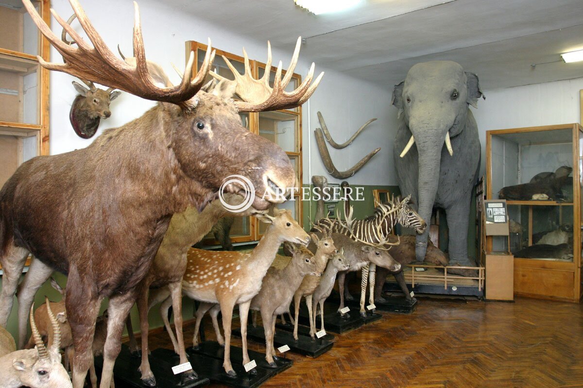 The Zoological Museum of professor Barabash-Nikiforov I.I.