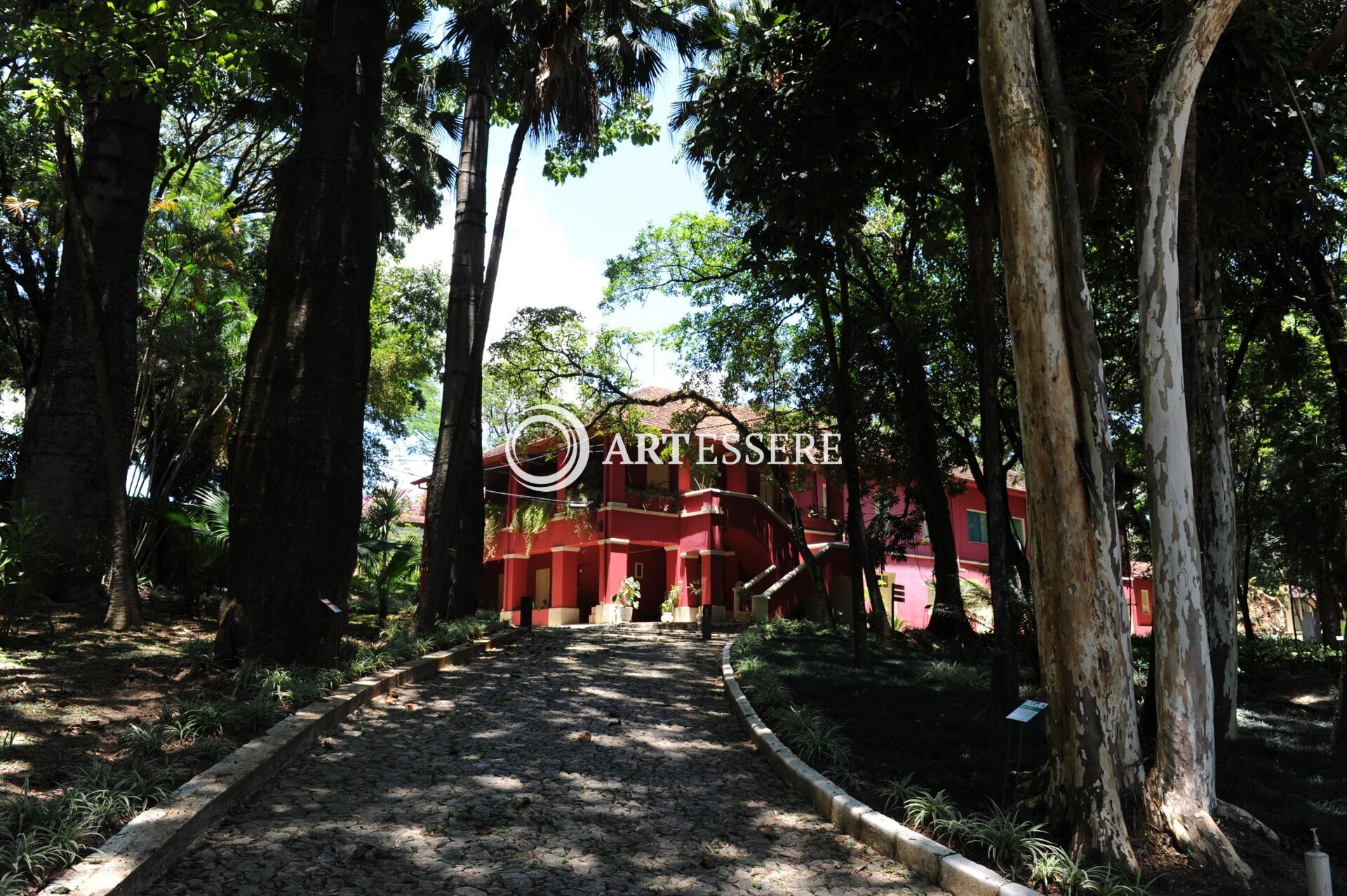 UFMG Museum of Natural History and Botanical Garden