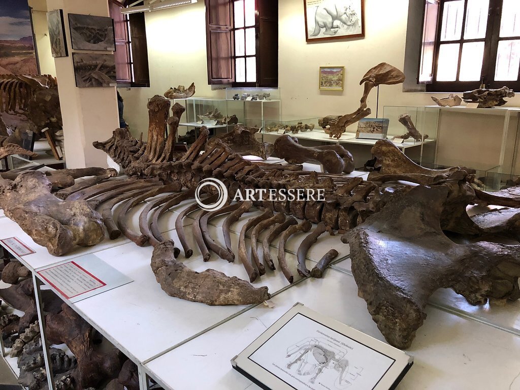 Paleontological and Archaeological Museum