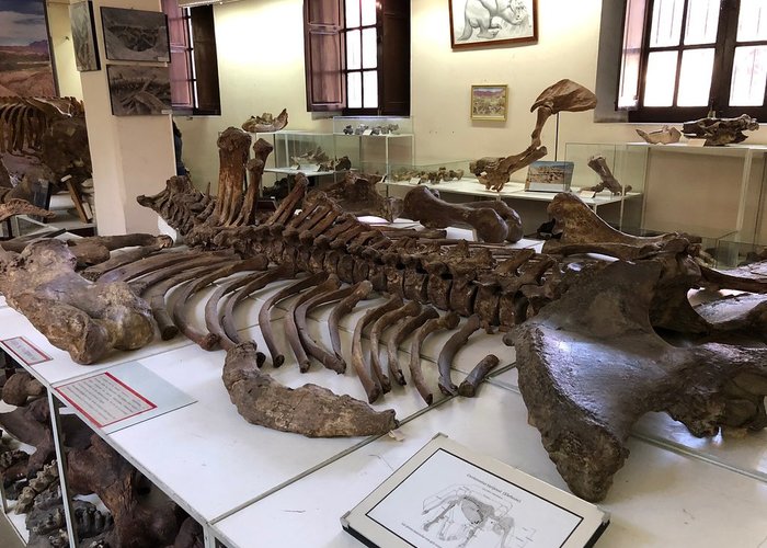 Paleontological and Archaeological Museum