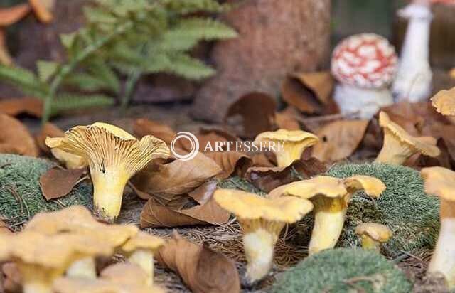 Mushroom Museum