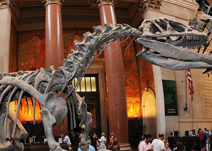 American Museum of Natural History