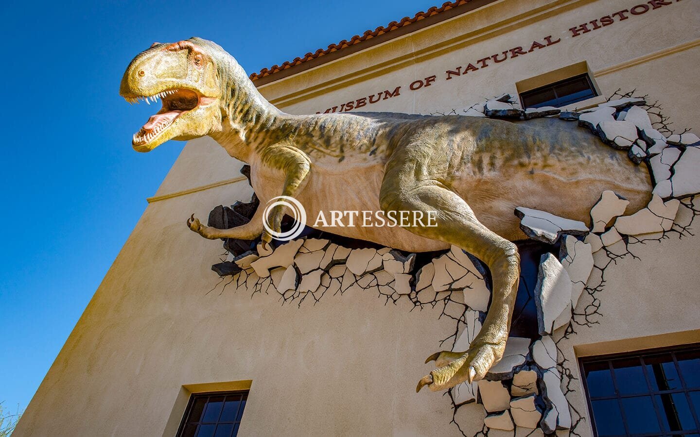 Arizona Museum of Natural History