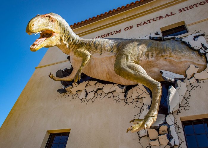 Arizona Museum of Natural History