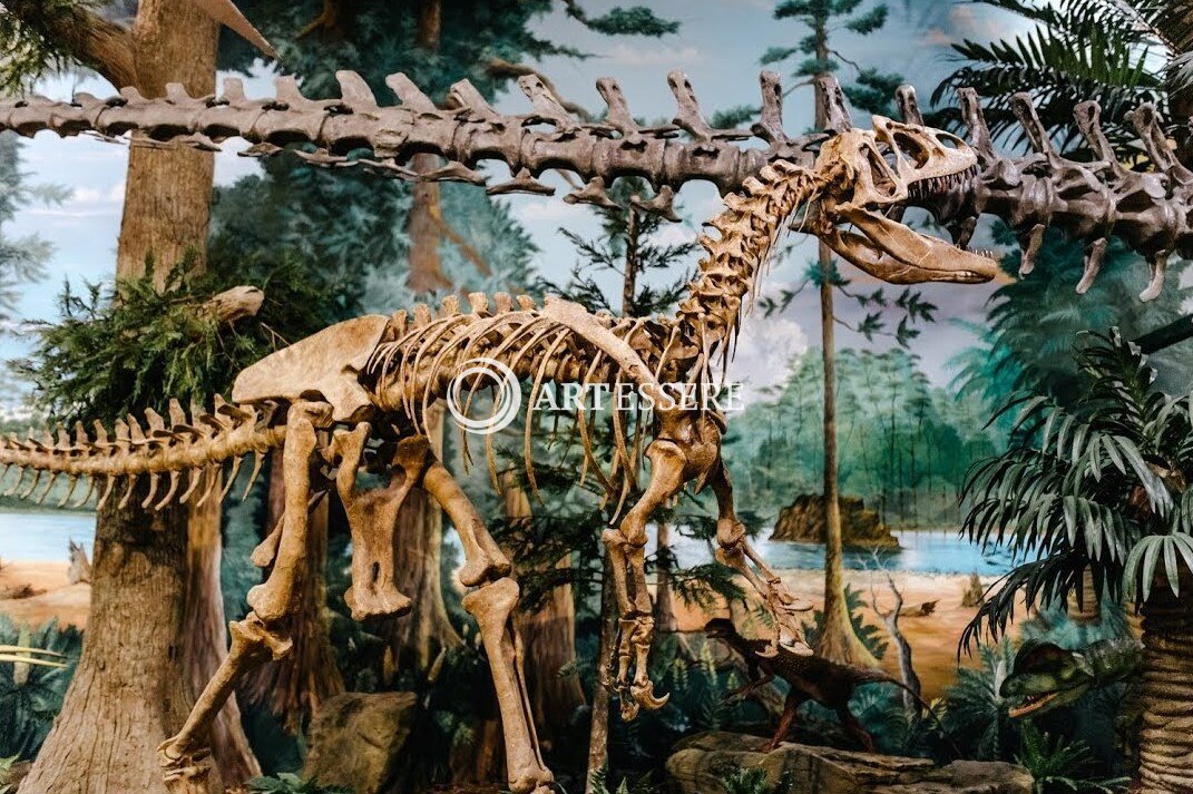 Museum of Dinosaurs and Ancient Cultures