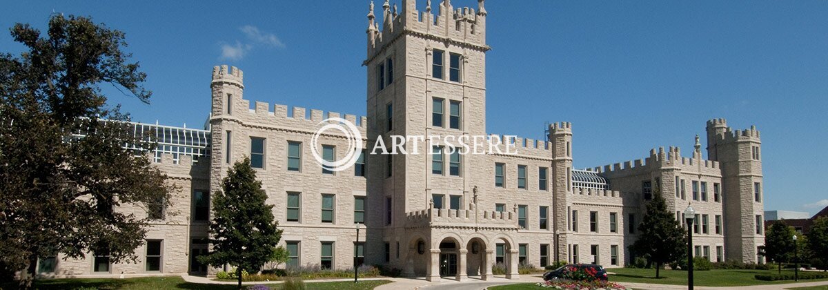 NIU Art Museum