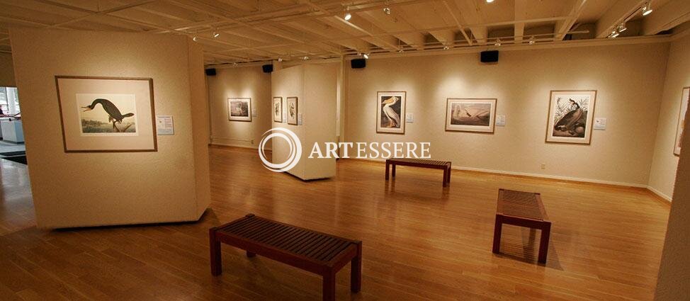 Fine Art Gallery at Ferris State University