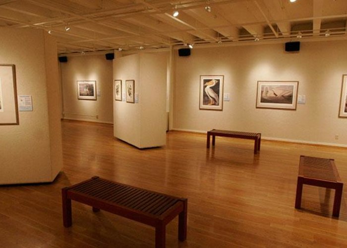 Fine Art Gallery at Ferris State University