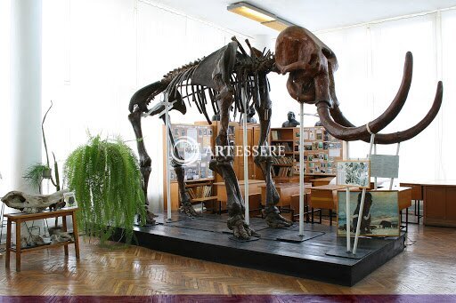 Paleontological Museum