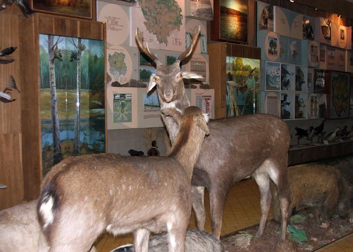 Rokinivskoi Museum of the History of Agriculture in Volyn