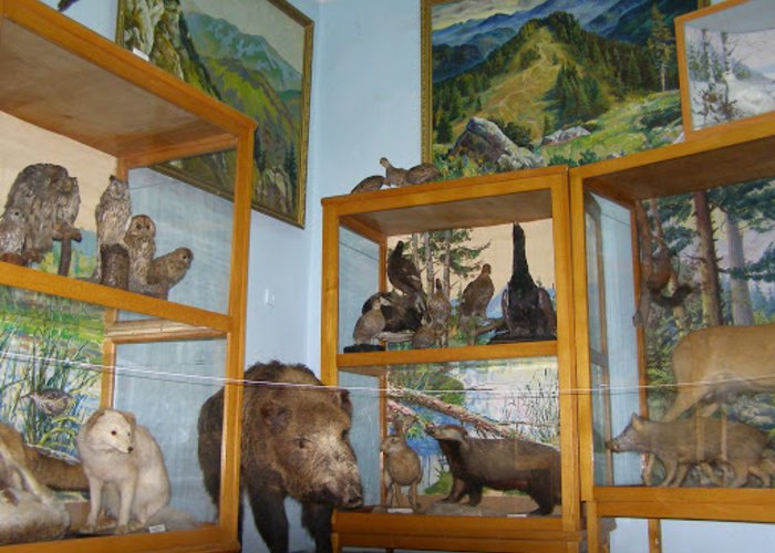 Kherson Museum of Natural History