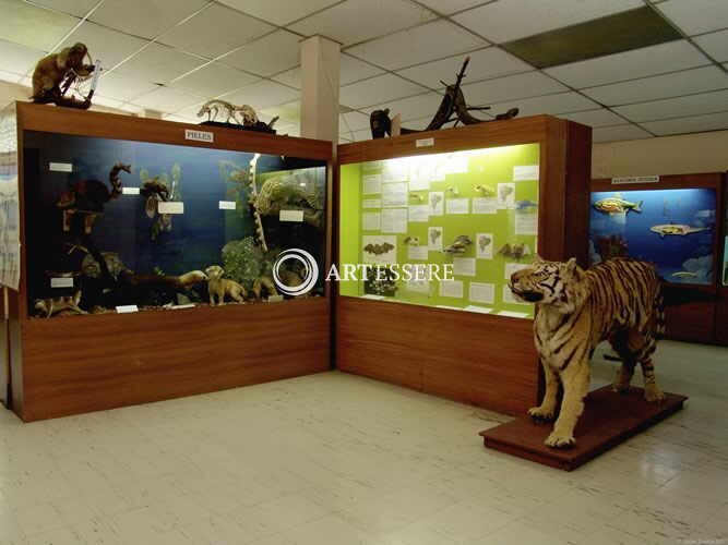 Museo Ecuatoriano de Ciencias Naturales