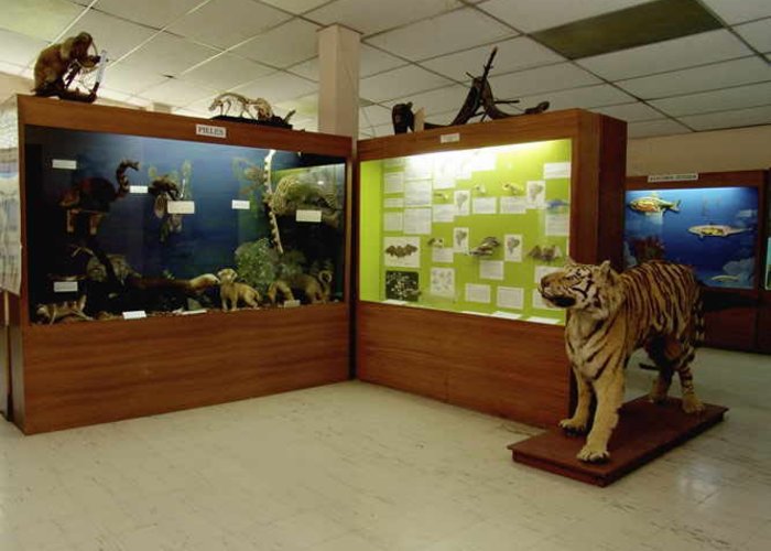 Museo Ecuatoriano de Ciencias Naturales