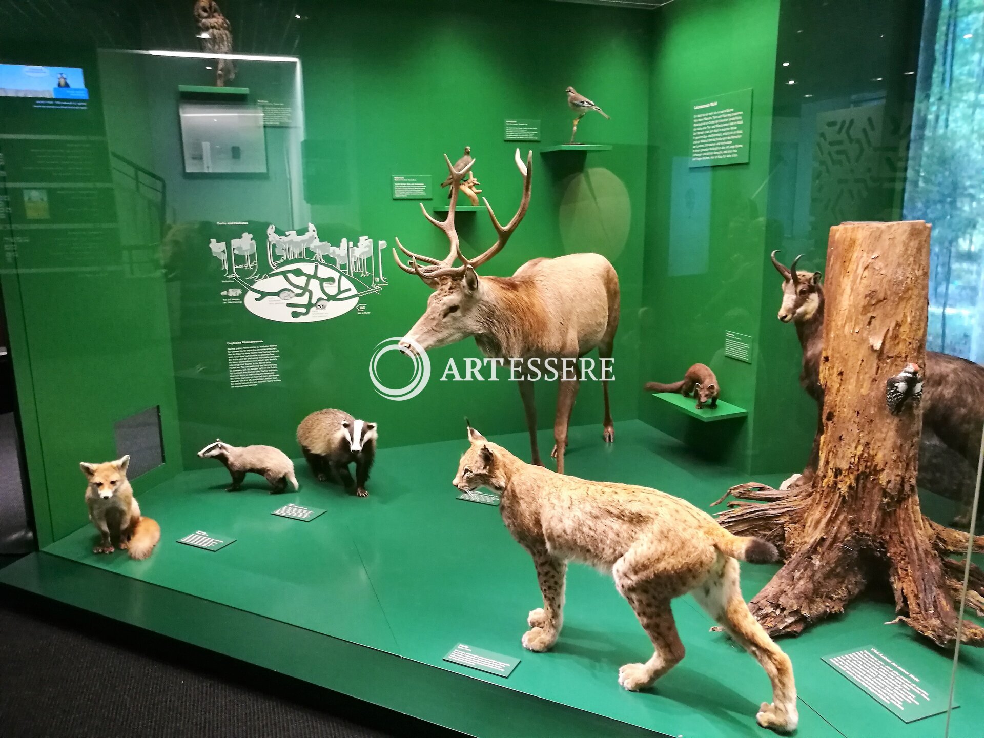 Naturmuseum Solothurn