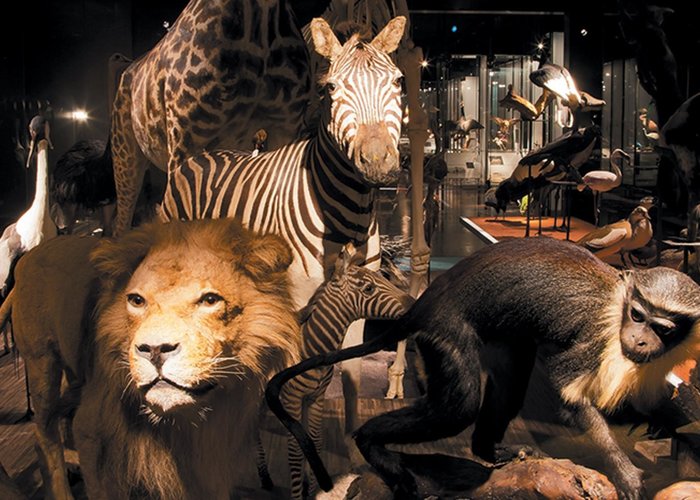 Musée d′histoire naturelle Fribourg