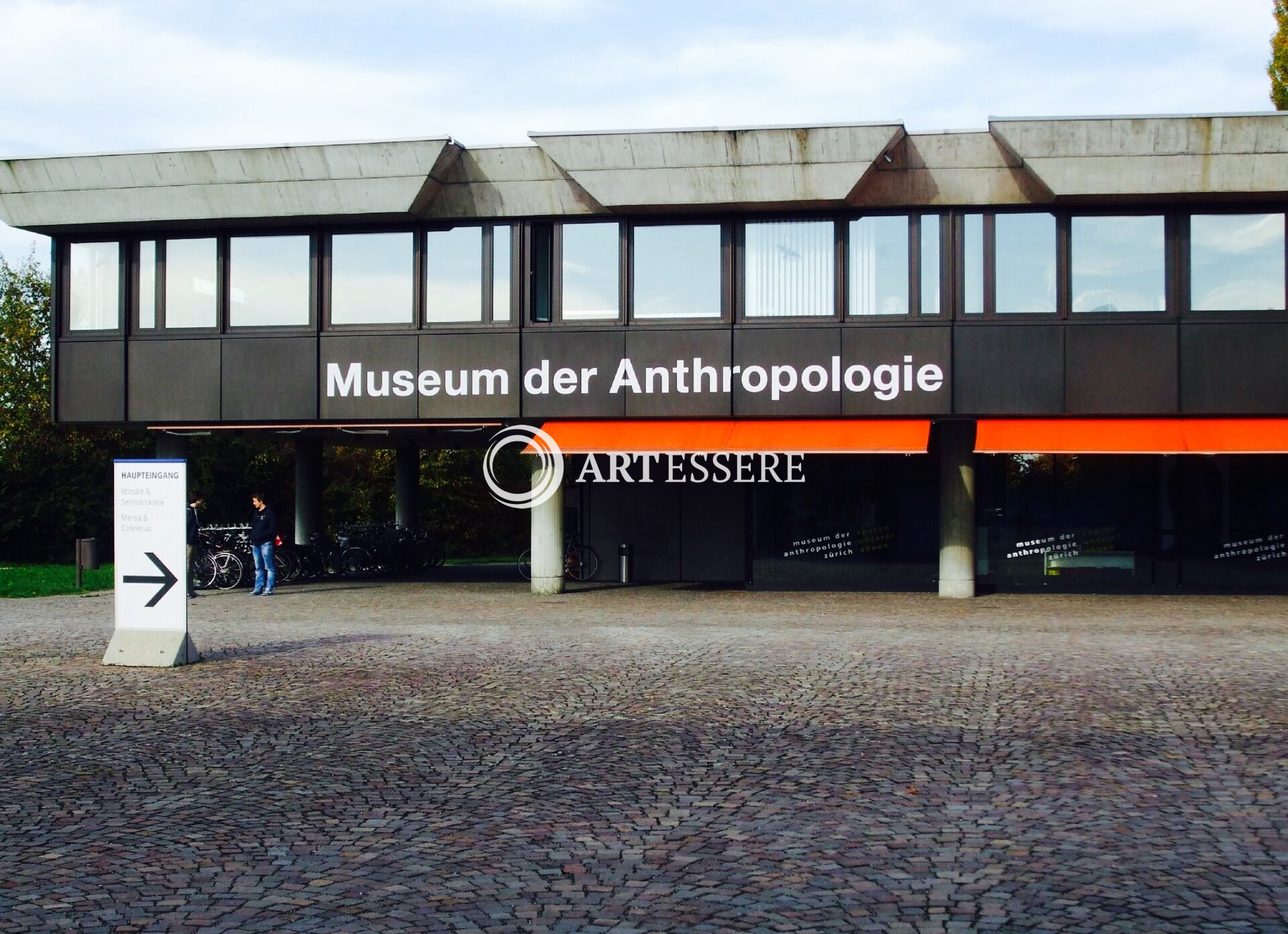 Anthropological Institute & Museum