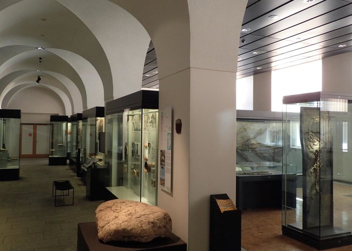 Paleontological Institute and Museum