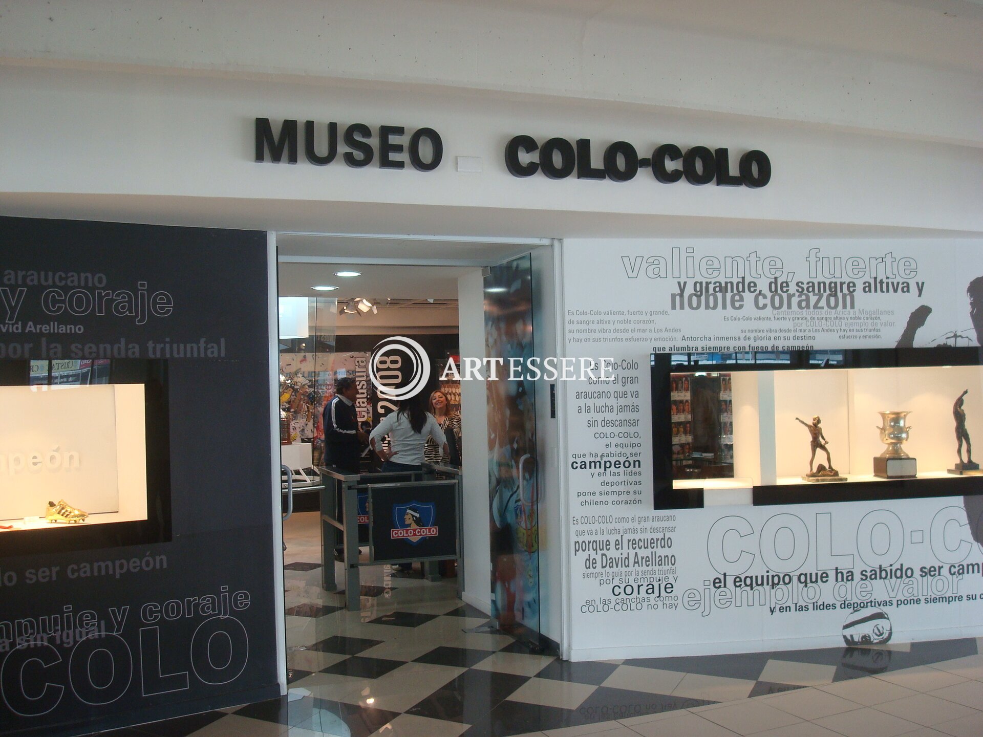 Museo de Colo Colo