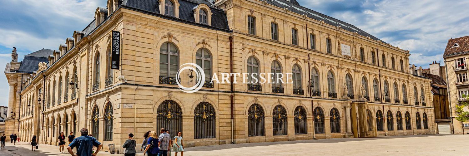 Museum of Fine Arts in Dijon